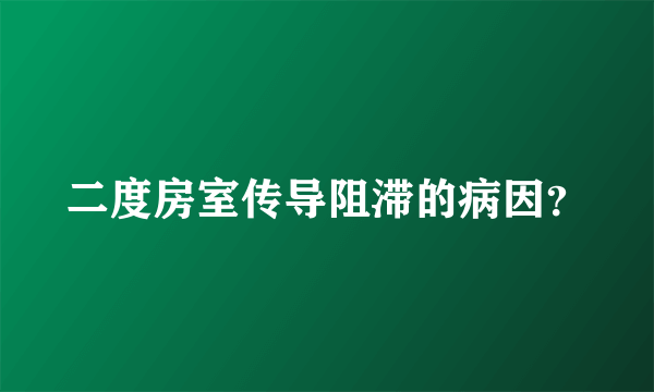 二度房室传导阻滞的病因？