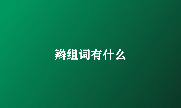 辫组词有什么