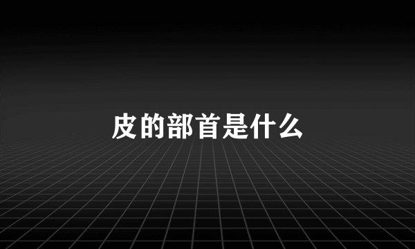 皮的部首是什么