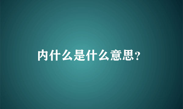 内什么是什么意思？