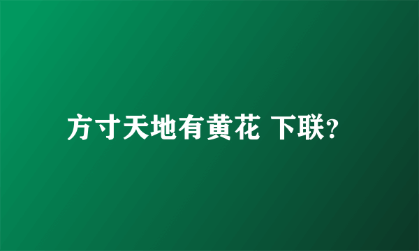 方寸天地有黄花 下联？