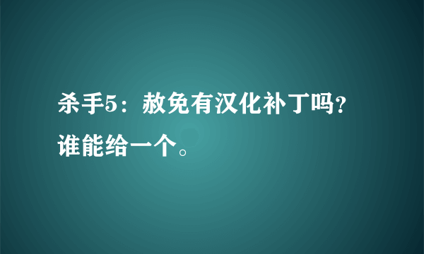 杀手5：赦免有汉化补丁吗？谁能给一个。
