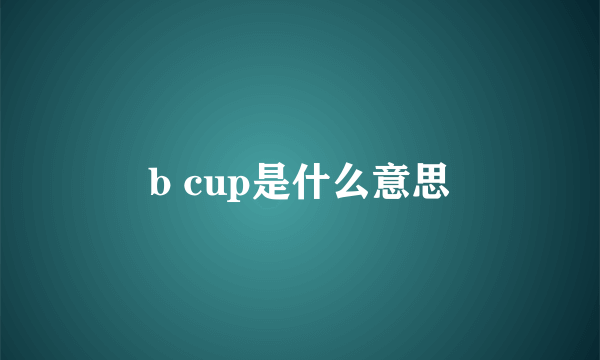 b cup是什么意思