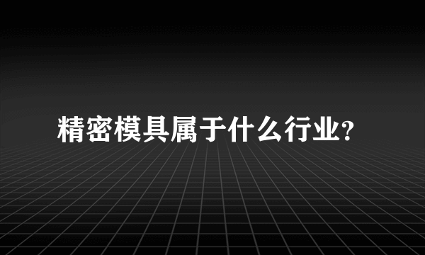 精密模具属于什么行业？