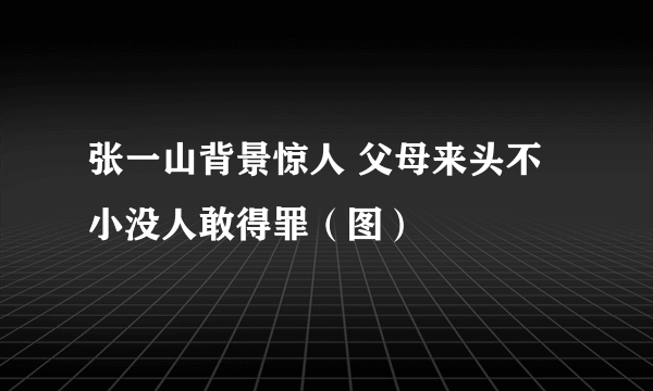张一山背景惊人 父母来头不小没人敢得罪（图）