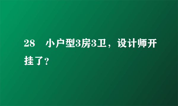 28㎡小户型3房3卫，设计师开挂了？