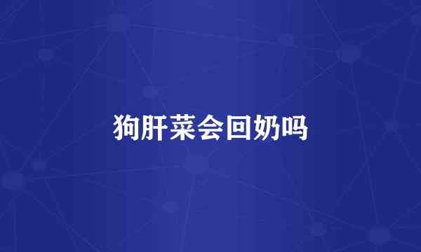狗肝菜会回奶吗