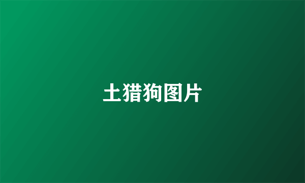 土猎狗图片
