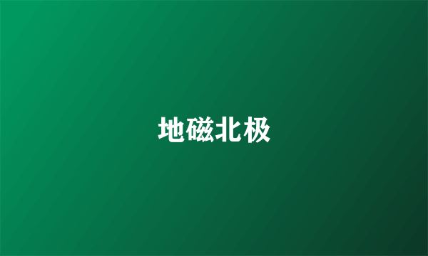 地磁北极