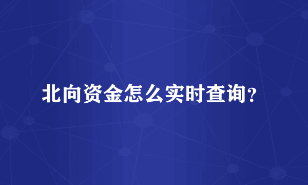 北向资金怎么实时查询？