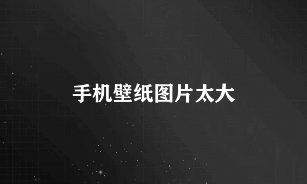 手机壁纸图片太大