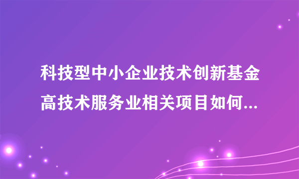 科技型中小企业技术创新基金高技术服务业相关项目如何写？最好有范文