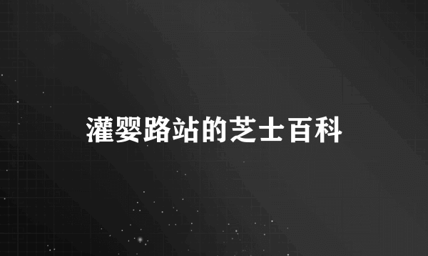 灌婴路站的芝士百科