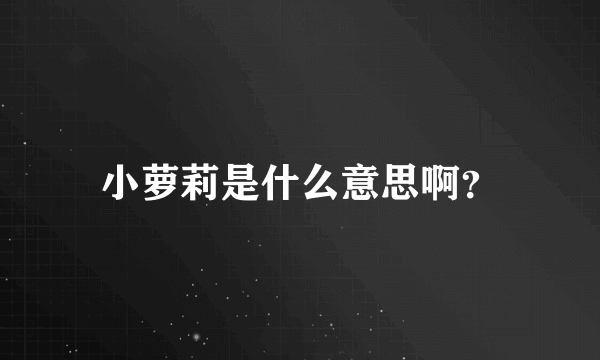 小萝莉是什么意思啊？