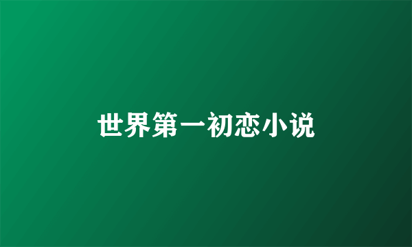 世界第一初恋小说