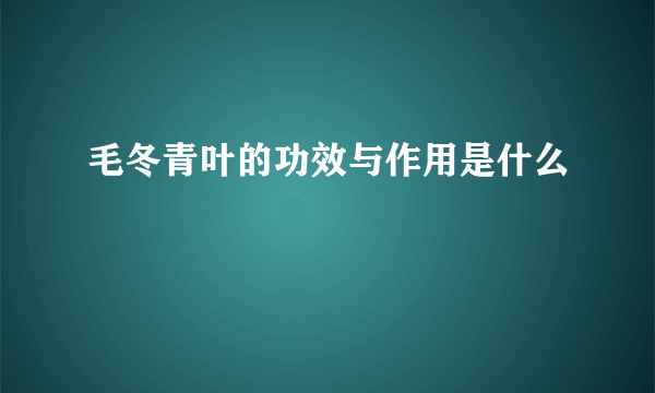 毛冬青叶的功效与作用是什么