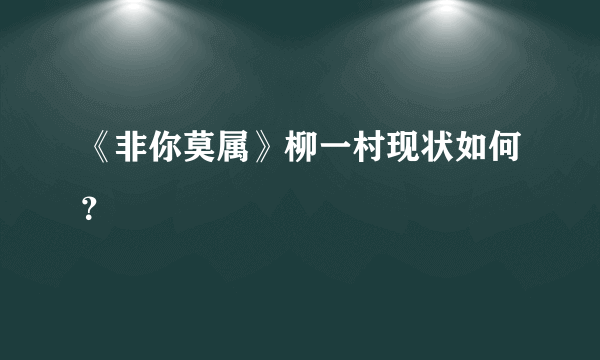 《非你莫属》柳一村现状如何？