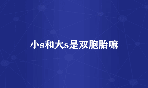 小s和大s是双胞胎嘛