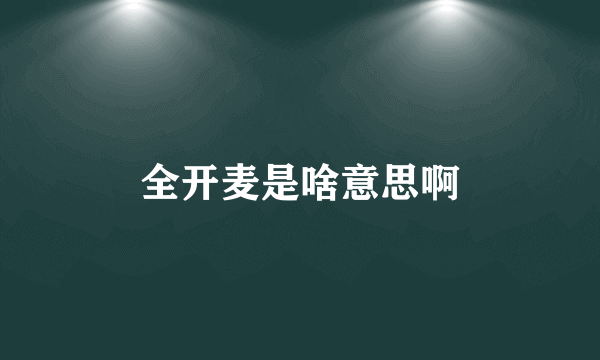 全开麦是啥意思啊