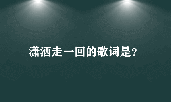 潇洒走一回的歌词是？