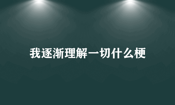 我逐渐理解一切什么梗