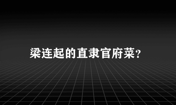 梁连起的直隶官府菜？