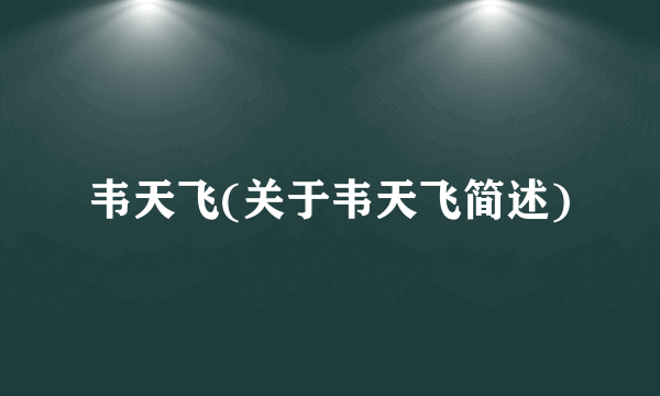 韦天飞(关于韦天飞简述)