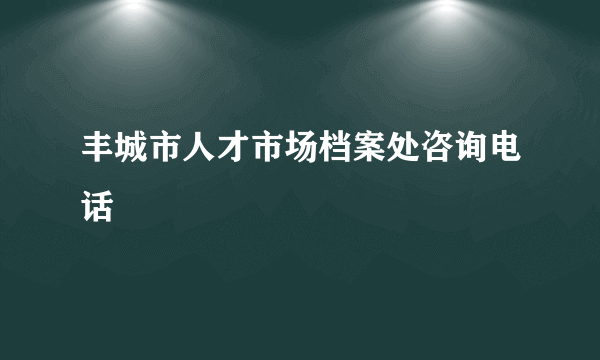丰城市人才市场档案处咨询电话