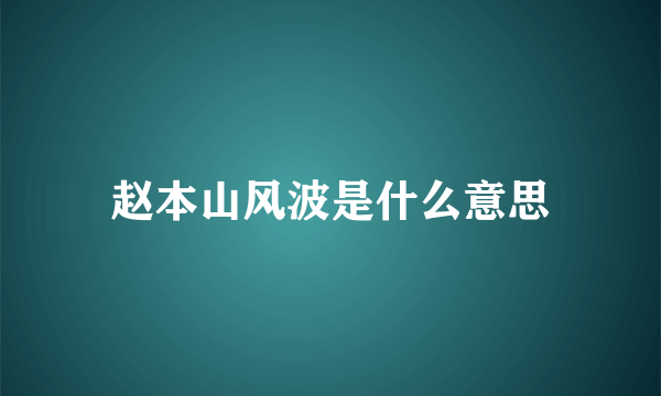 赵本山风波是什么意思