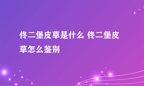 佟二堡皮草是什么 佟二堡皮草怎么鉴别