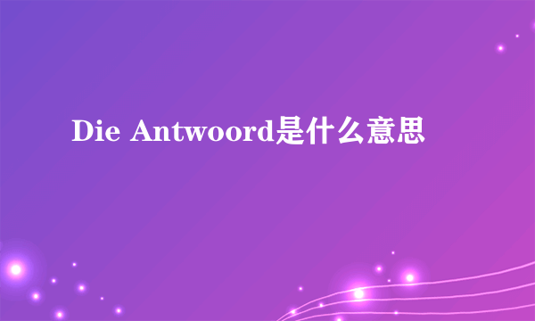 Die Antwoord是什么意思