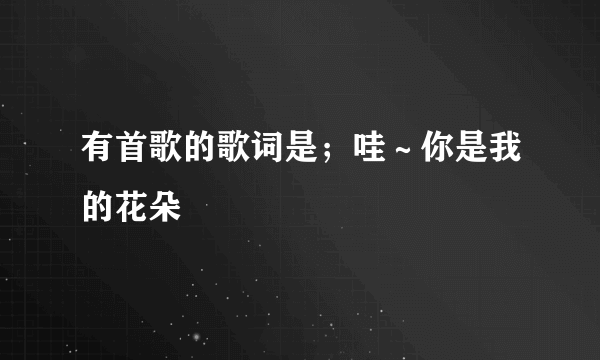 有首歌的歌词是；哇～你是我的花朵