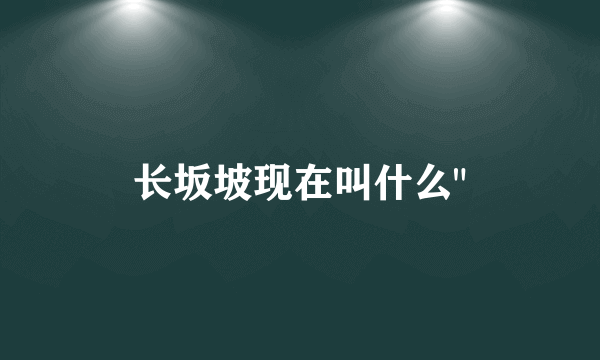 长坂坡现在叫什么