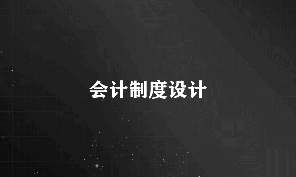 会计制度设计