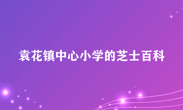 袁花镇中心小学的芝士百科