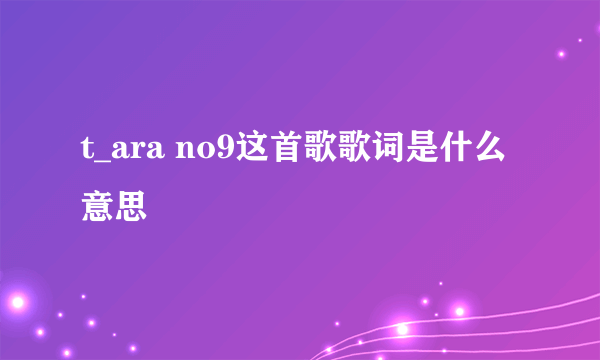 t_ara no9这首歌歌词是什么意思