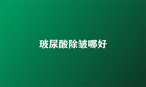 玻尿酸除皱哪好