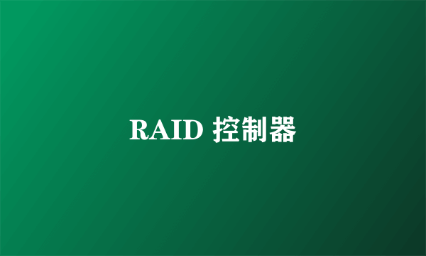 RAID 控制器