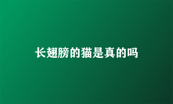 长翅膀的猫是真的吗