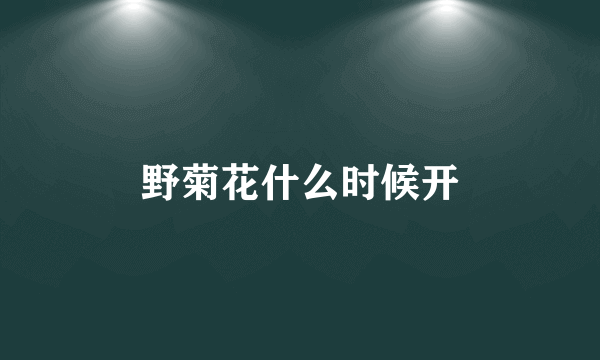野菊花什么时候开