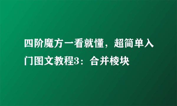 四阶魔方一看就懂，超简单入门图文教程3：合并棱块