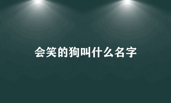 会笑的狗叫什么名字