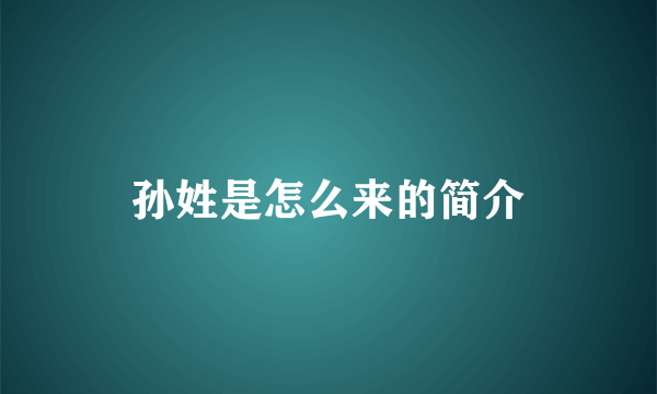 孙姓是怎么来的简介