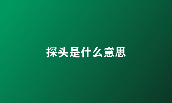 探头是什么意思