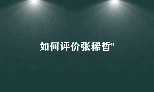 如何评价张稀哲