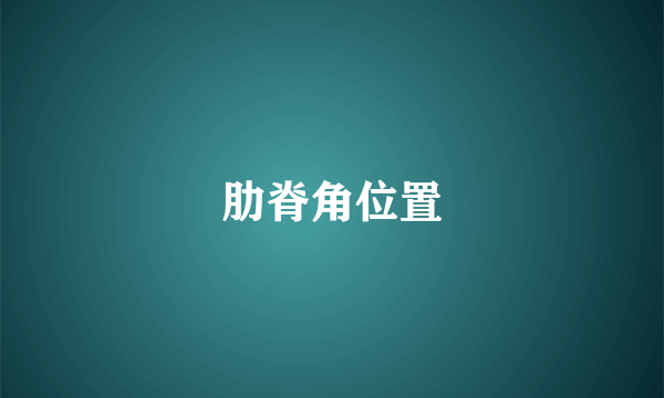 肋脊角位置