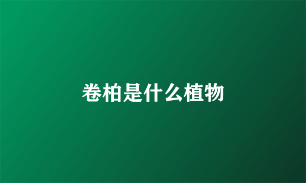 卷柏是什么植物