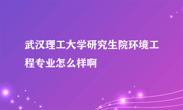 武汉理工大学研究生院环境工程专业怎么样啊
