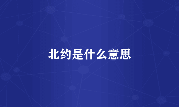 北约是什么意思