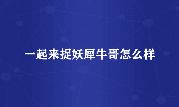 一起来捉妖犀牛哥怎么样